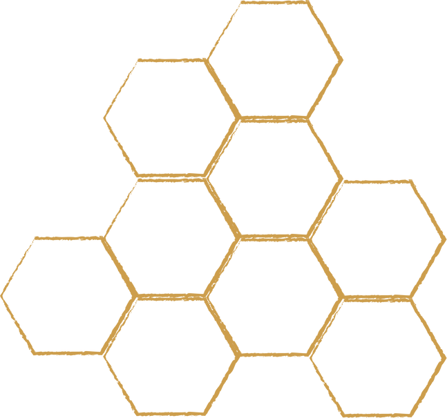 honeycomb vector